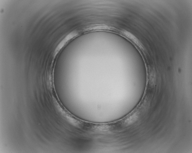 X0000078841282200611201304