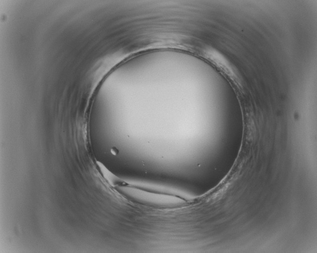 X0000078841284200611201304