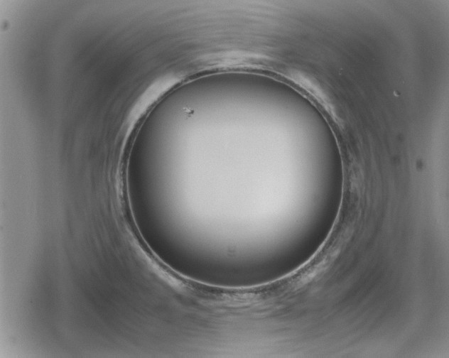 X0000078841285200611201304