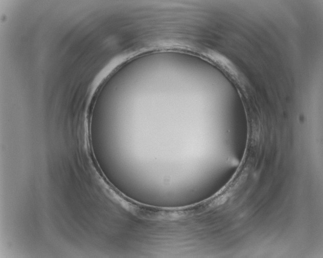 X0000078841286200611201304