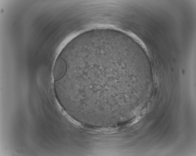 X0000078841287200611201304