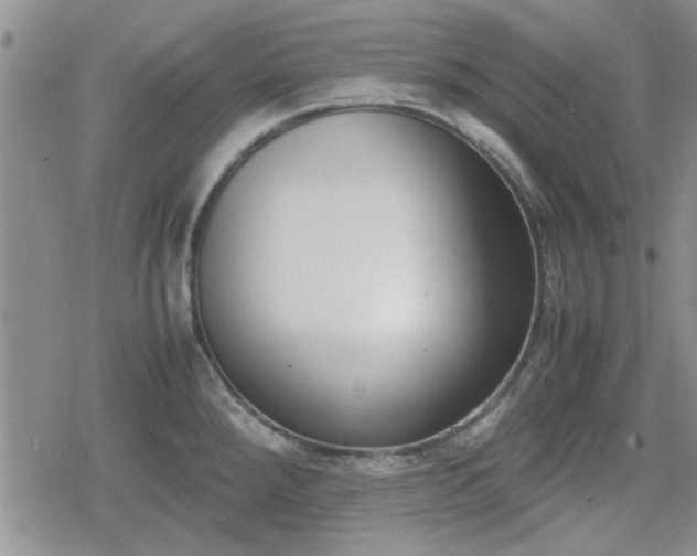 X0000078841288200611201304