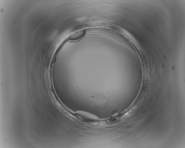 X0000078841291200611201304