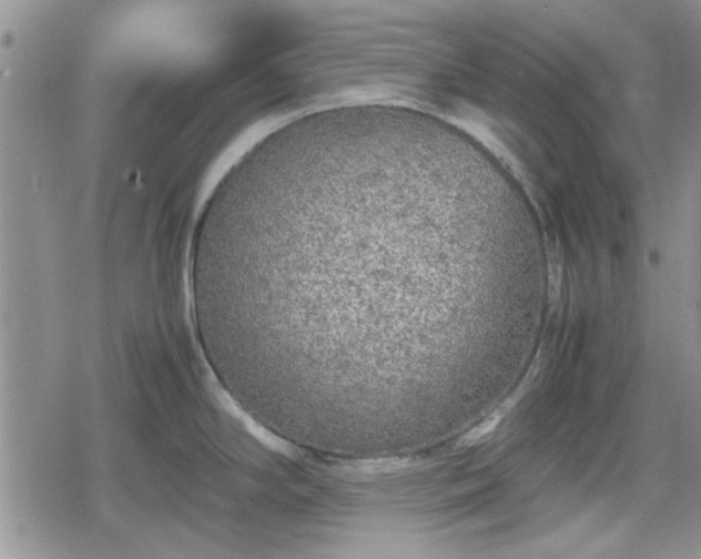 X0000078841294200611201304