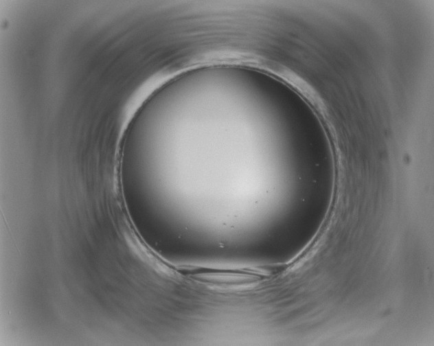 X0000078841296200611201304