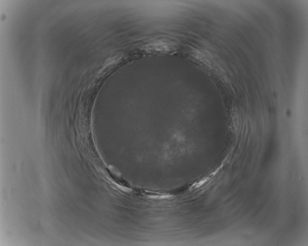 X0000078841297200611201303