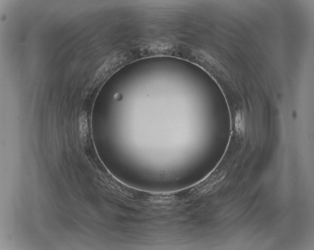 X0000078841299200611201303