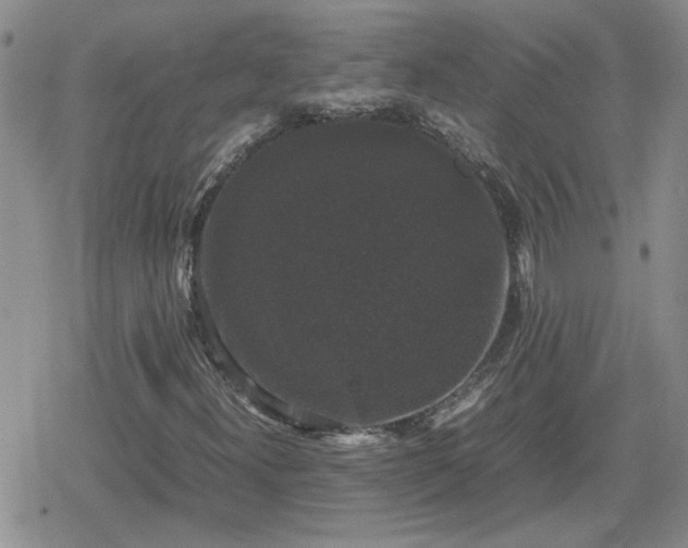 X0000078841300200611201303