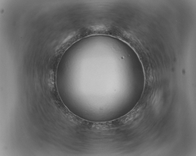 X0000078841301200611201303