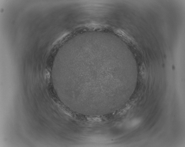 X0000078841302200611201303