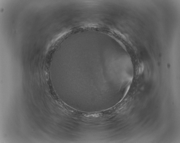 X0000078841303200611201303