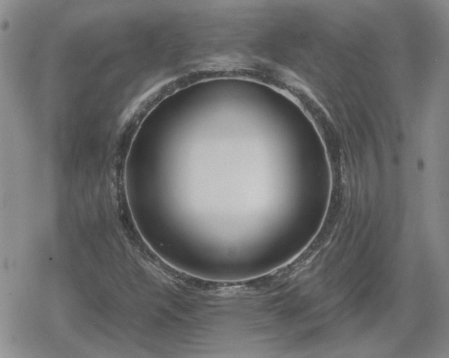 X0000078841304200611201303