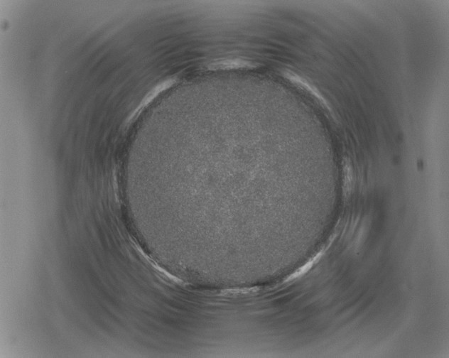 X0000078841305200611201303