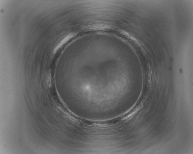 X0000078841306200611201303