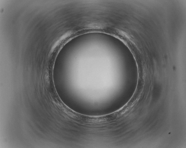 X0000078841307200611201303