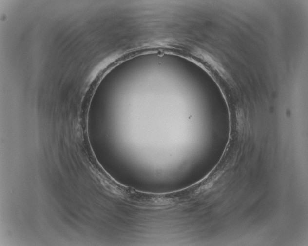 X0000078841308200611201303