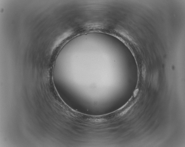 X0000078841309200611201303