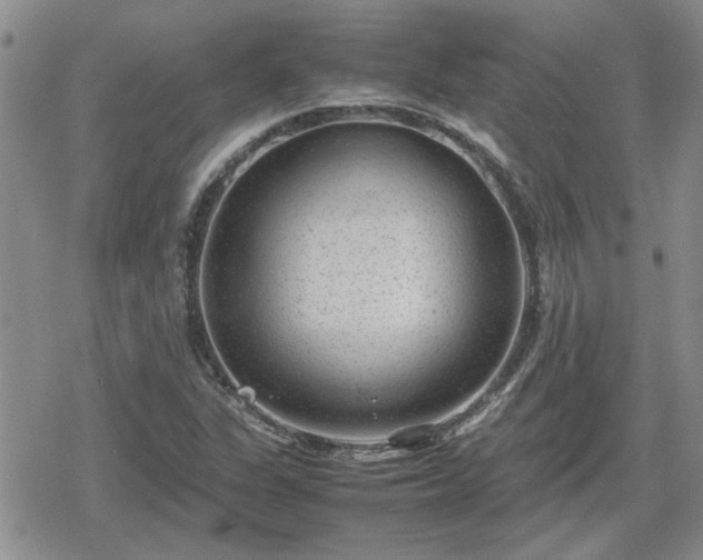 X0000078841311200611201303