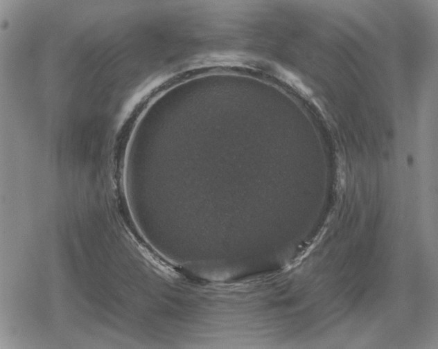 X0000078841312200611201303