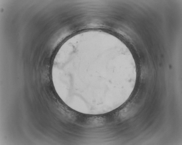 X0000078841314200611201303