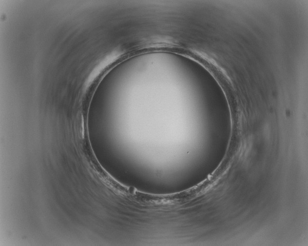 X0000078841317200611201303