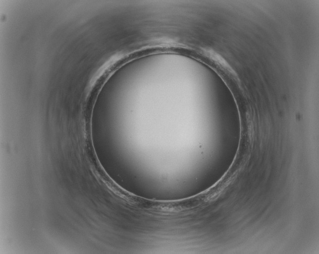 X0000078841318200611201303