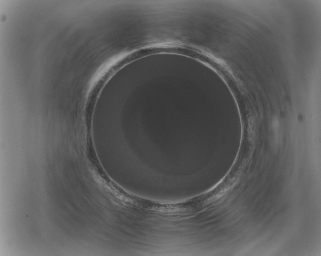 X0000078841319200611201303