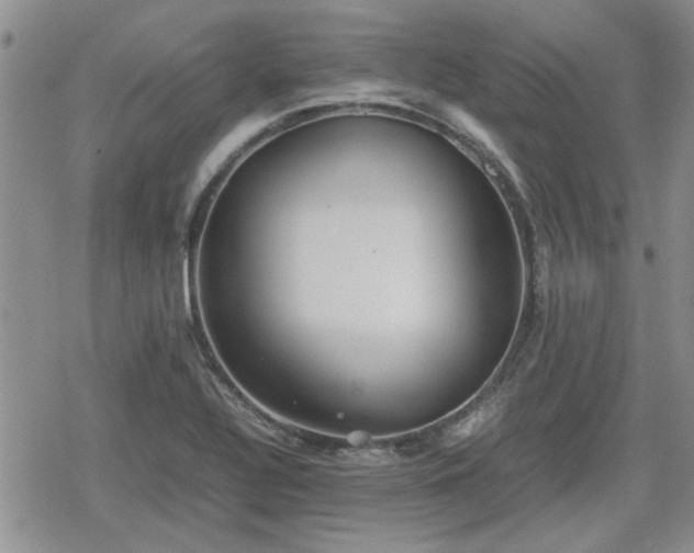 X0000078841320200611201303