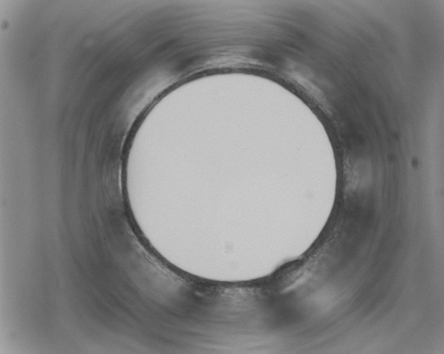 X0000078841322200611201303