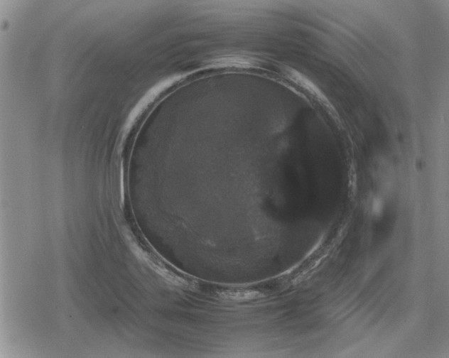 X0000078841323200611201303