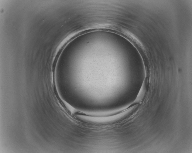 X0000078841324200611201303