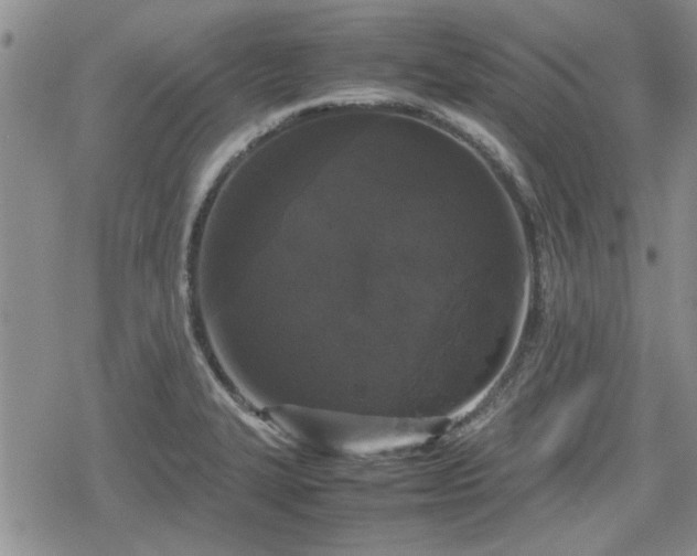 X0000078841327200611201303