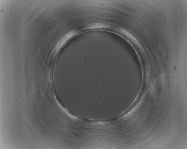 X0000078841329200611201303