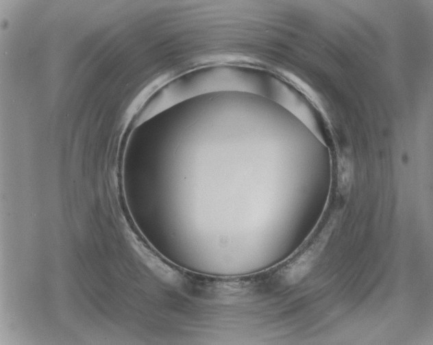 X0000078841330200611201303