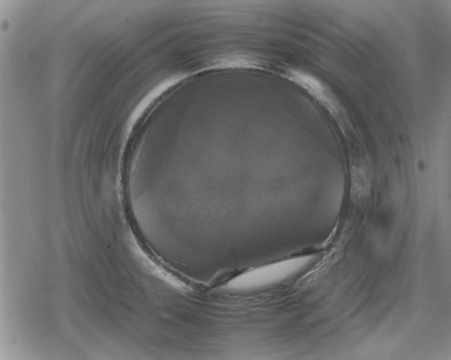 X0000078841331200611201303