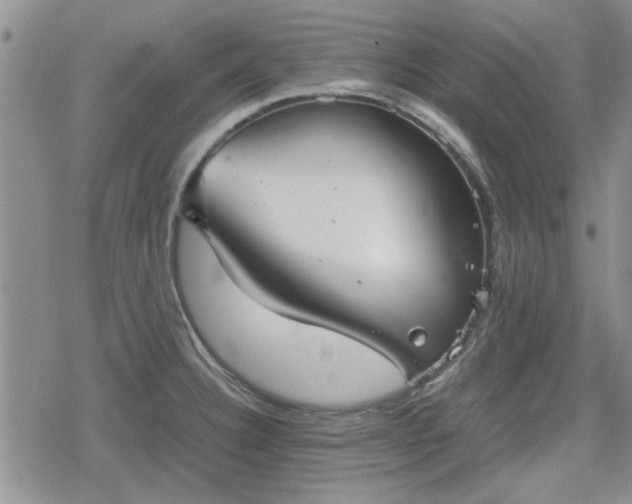 X0000078841332200611201303