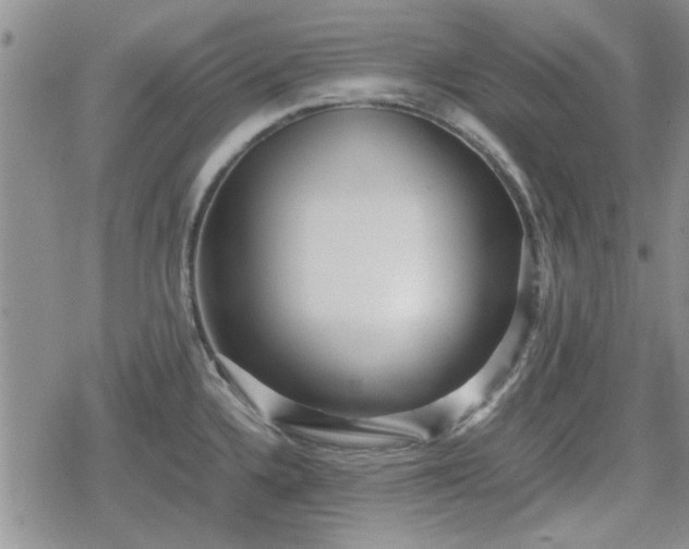 X0000078841336200611201303