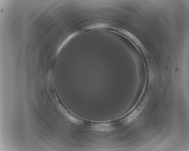 X0000078841337200611201303