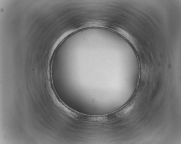 X0000078841339200611201303