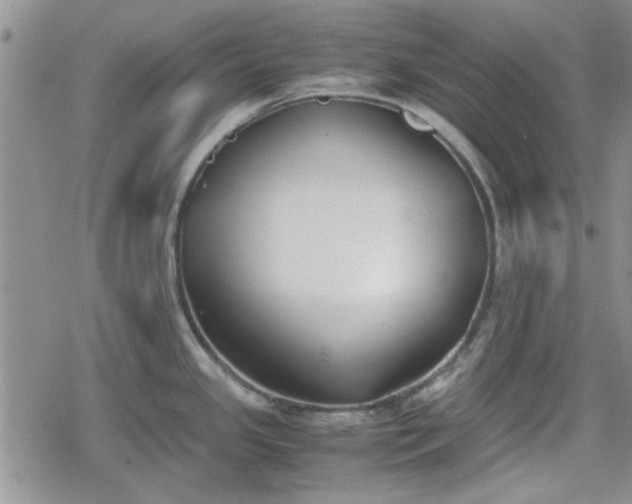 X0000078841341200611201304