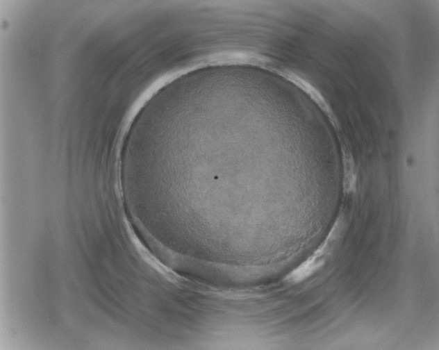 X0000078841342200611201304