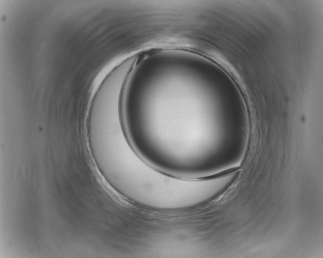 X0000078841344200611201304