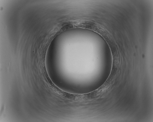 X0000078841345200611201303