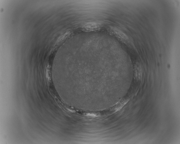 X0000078841346200611201303