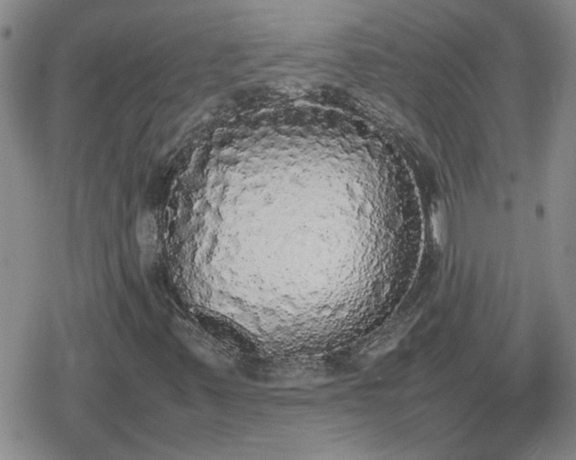 X0000078841347200611201303