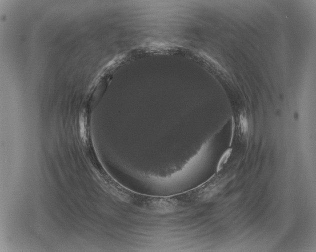 X0000078841348200611201303