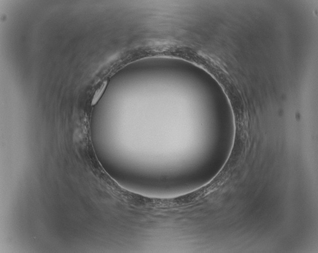 X0000078841349200611201303