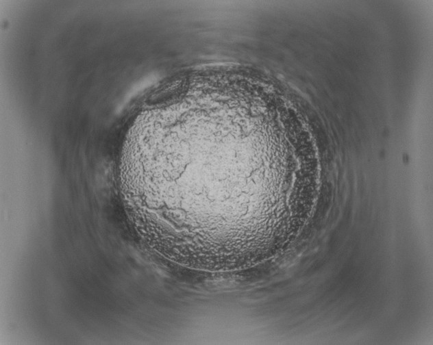X0000078841351200611201303