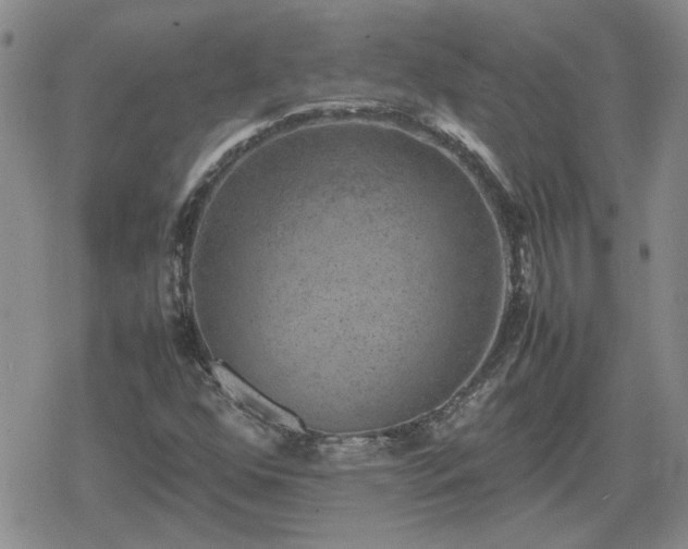 X0000078841352200611201303