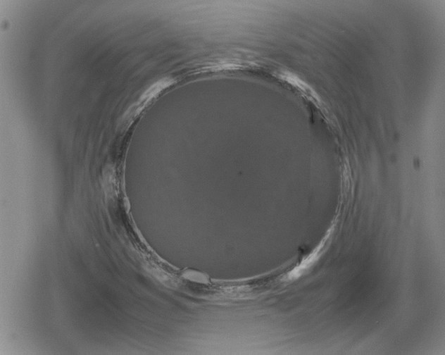 X0000078841353200611201303